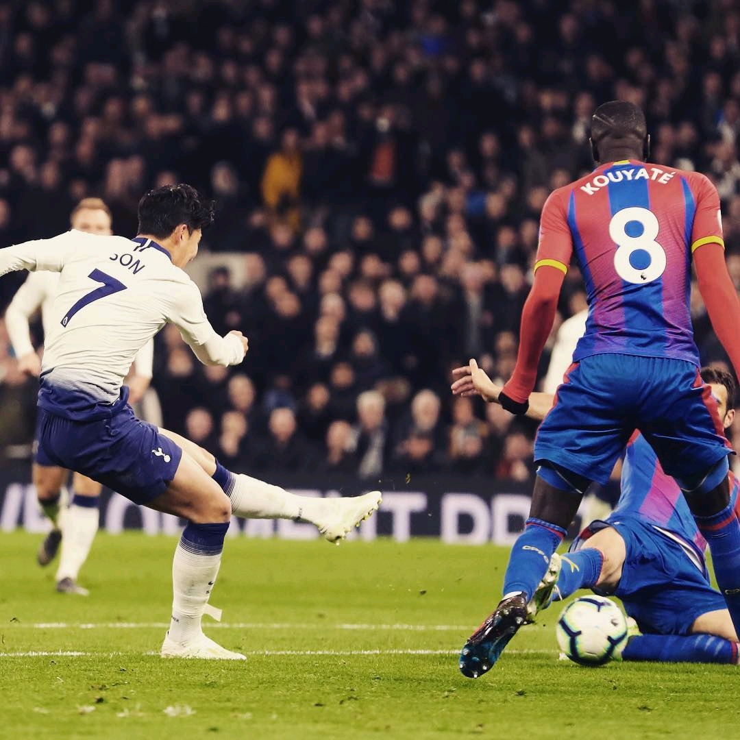 球公园以其 球公园以其